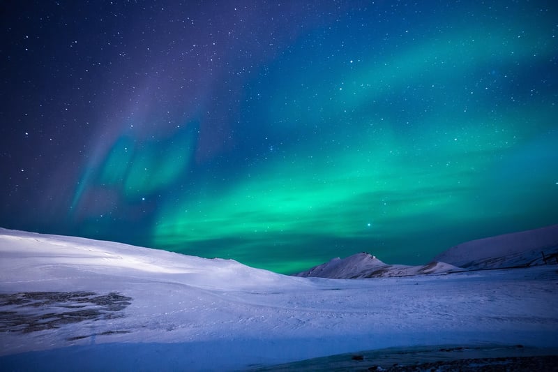 Aurora Bites
